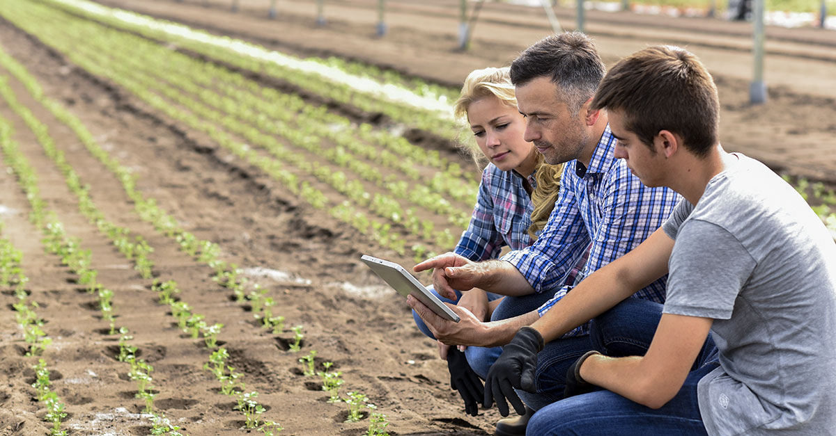 Mobilidade no agronegócio: Impulsione suas vendas com esta tecnologia