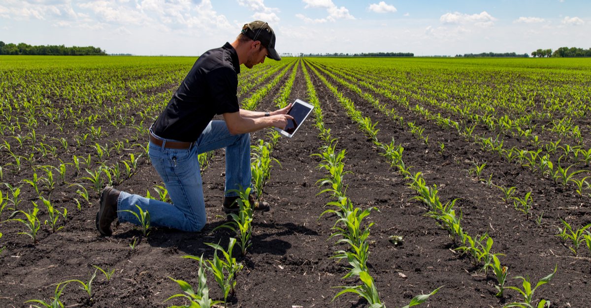 CRM contribui para planejamento e decisões assertivas no Agronegócio