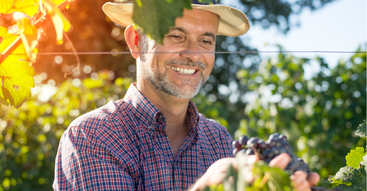 Agricultura Familiar: Subsistência ou Geração de Renda?