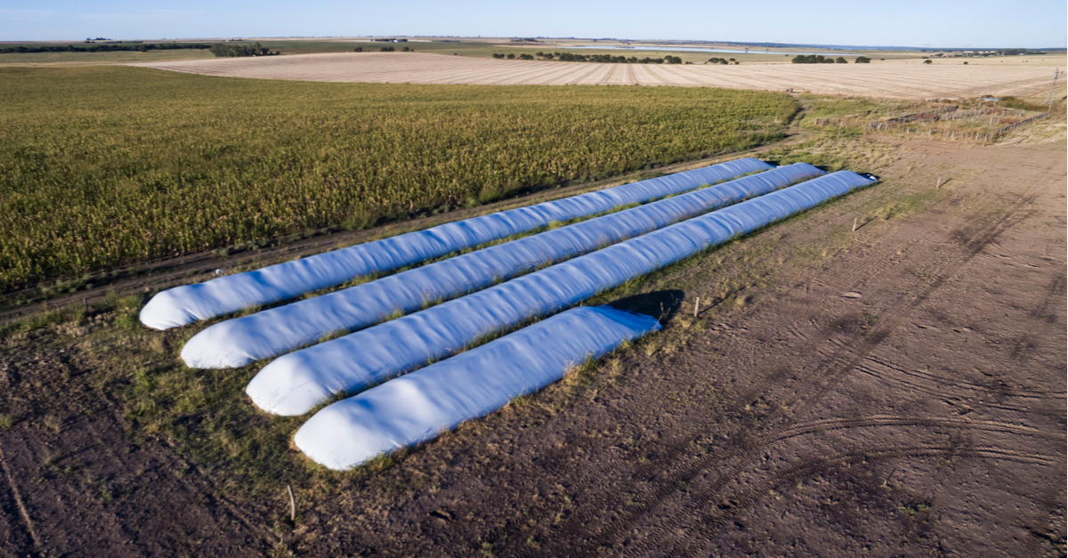 Silo Bolsa: Uma Alternativa Viável Para Estoque de Grãos