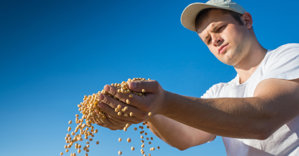 Tratamento de sementes: Sim, é possível produzir mais!