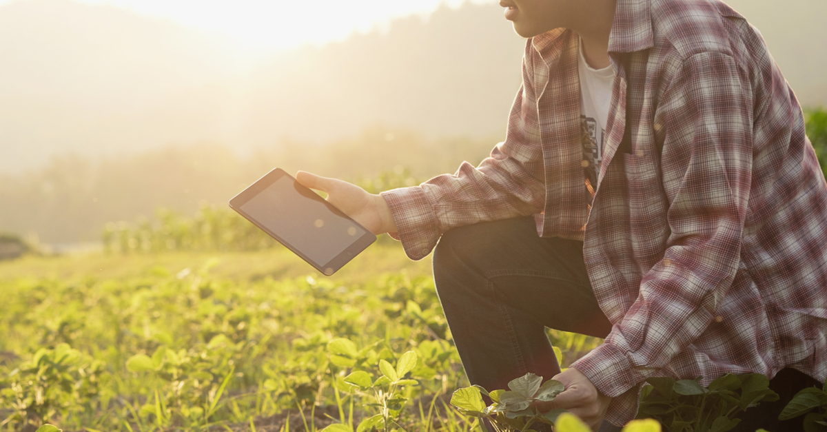 Por que tantas empresas do agronegócio estão apostando no uso do Big Data?