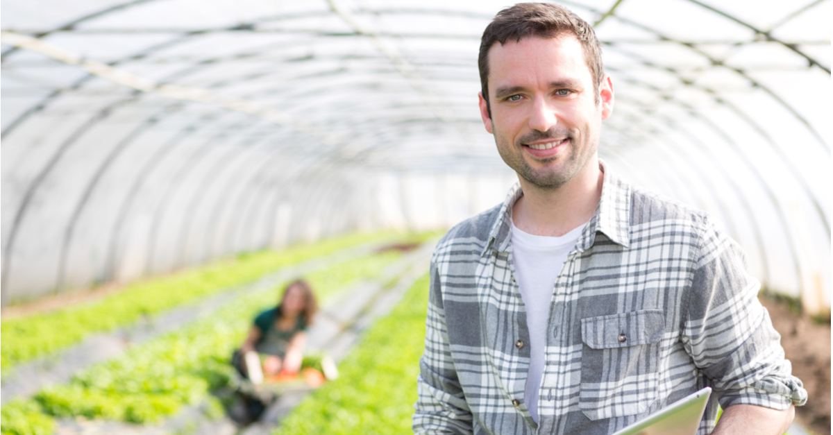Insumos agrícolas: Utilize o pós-venda  a seu favor