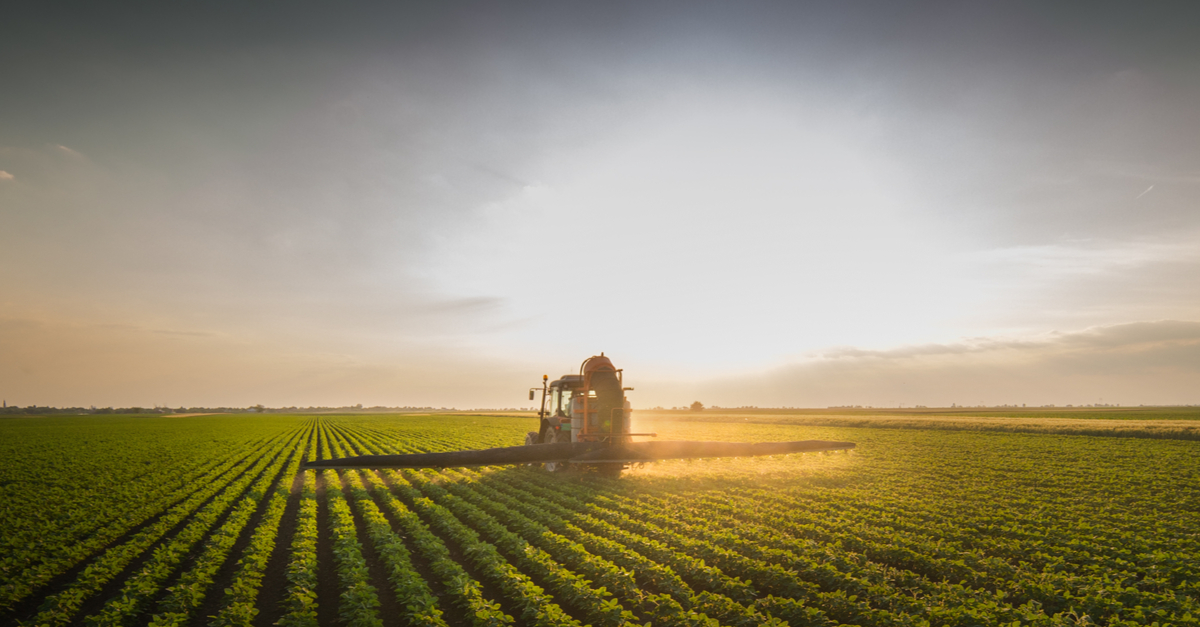 Além de POP, agro é PIB positivo em 2019!