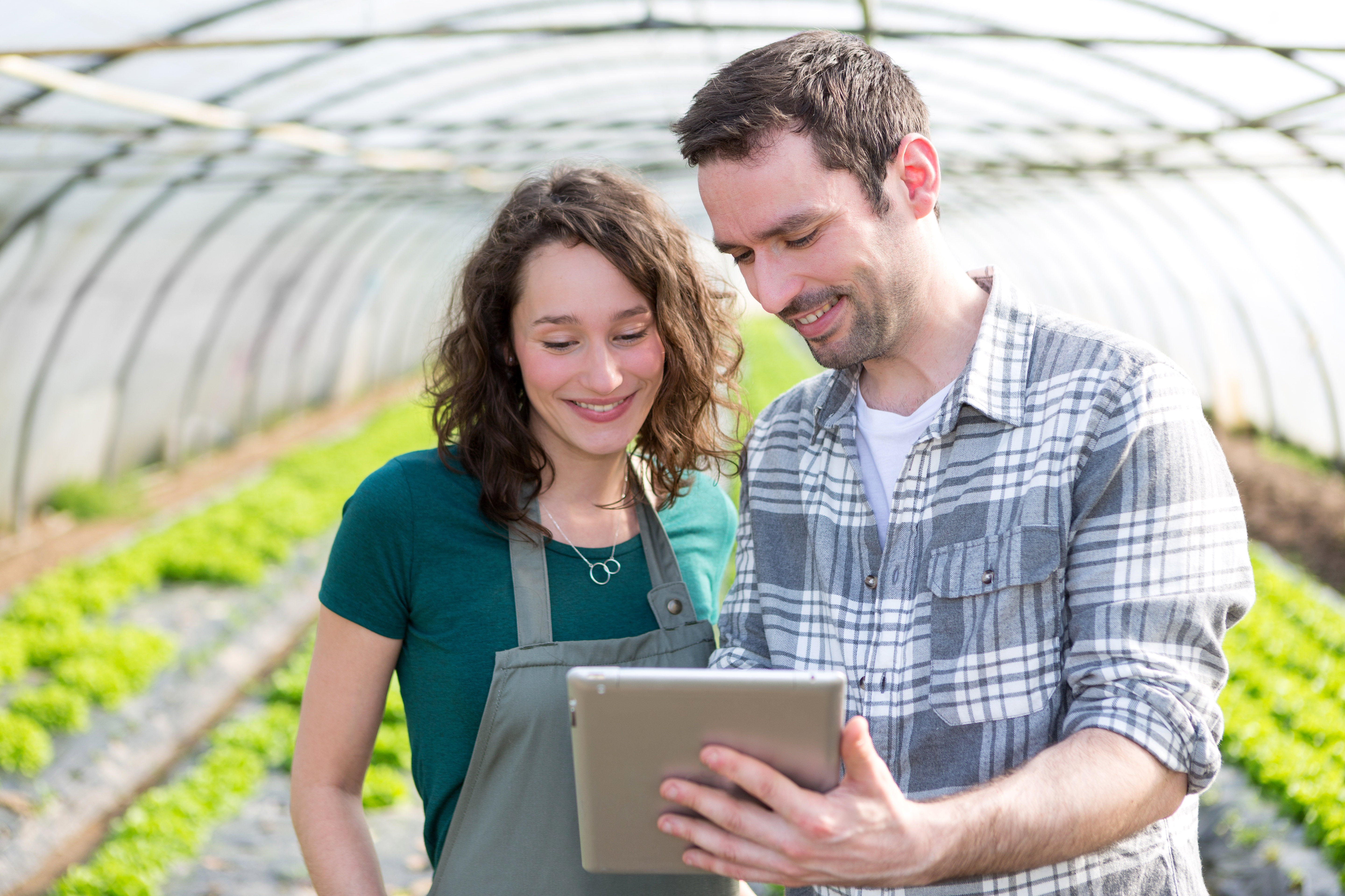 Agricultura de precisão: conectividade não garante o êxito sozinha