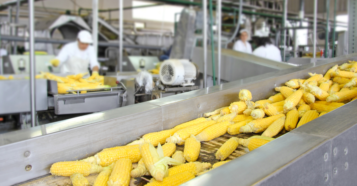 Software para agronegócio atende agroindústrias em plataforma única