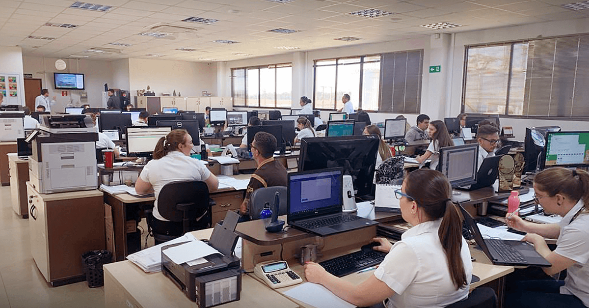 Primato implanta sistema da Viasoft para gestão empresarial integrada em toda a cooperativa