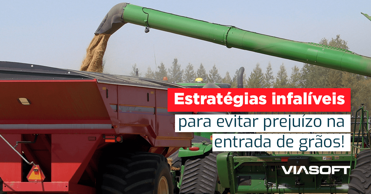 Estratégias infalíveis para evitar prejuízo na entrada de grãos!