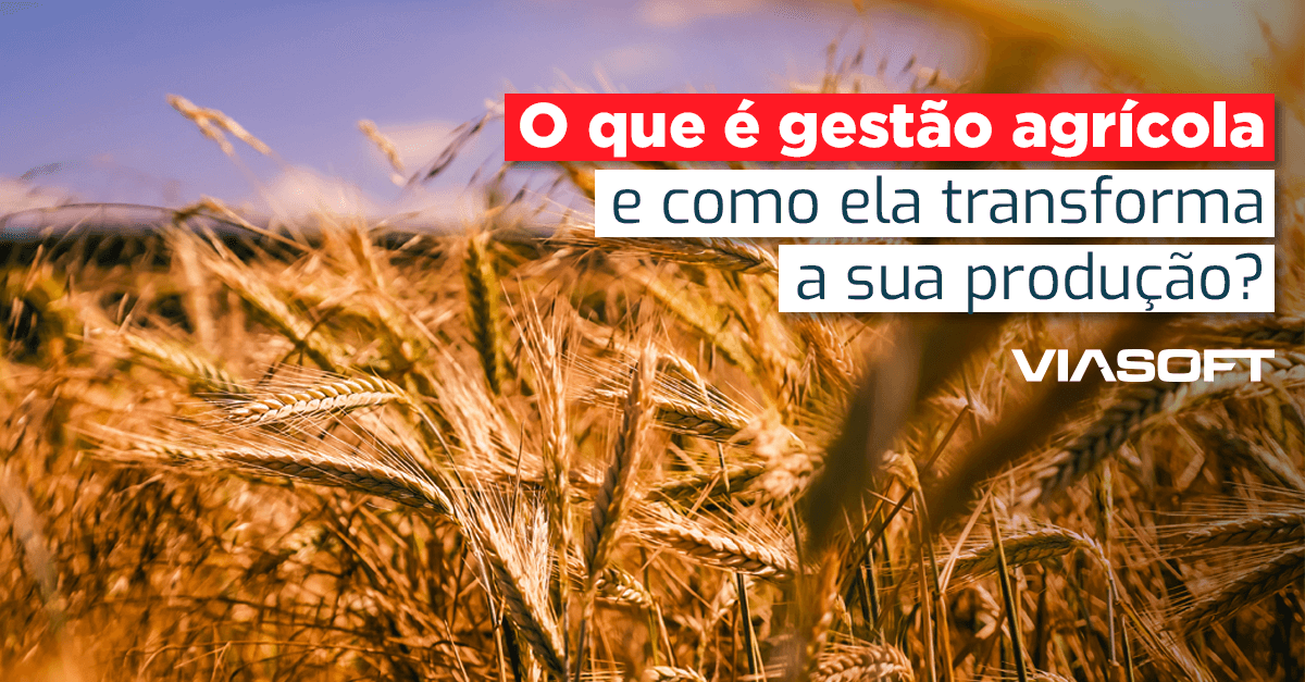 O que é gestão agrícola e como ela transforma a sua produção?