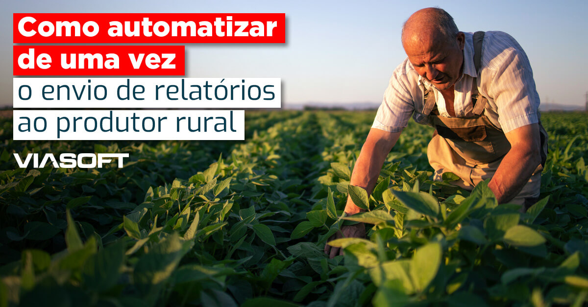 Como automatizar de uma vez o envio de relatórios ao produtor rural