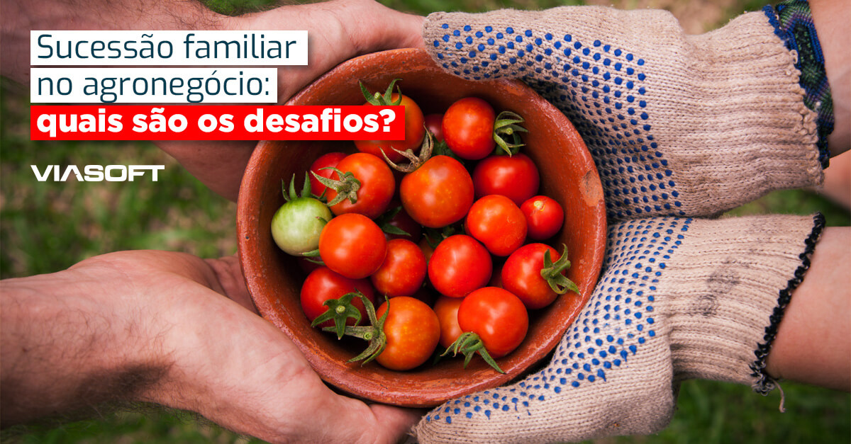 Sucessão familiar no agronegócio: quais são os desafios?