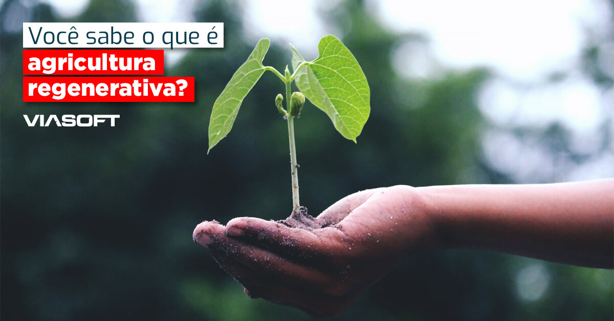 Você sabe o que é agricultura regenerativa?