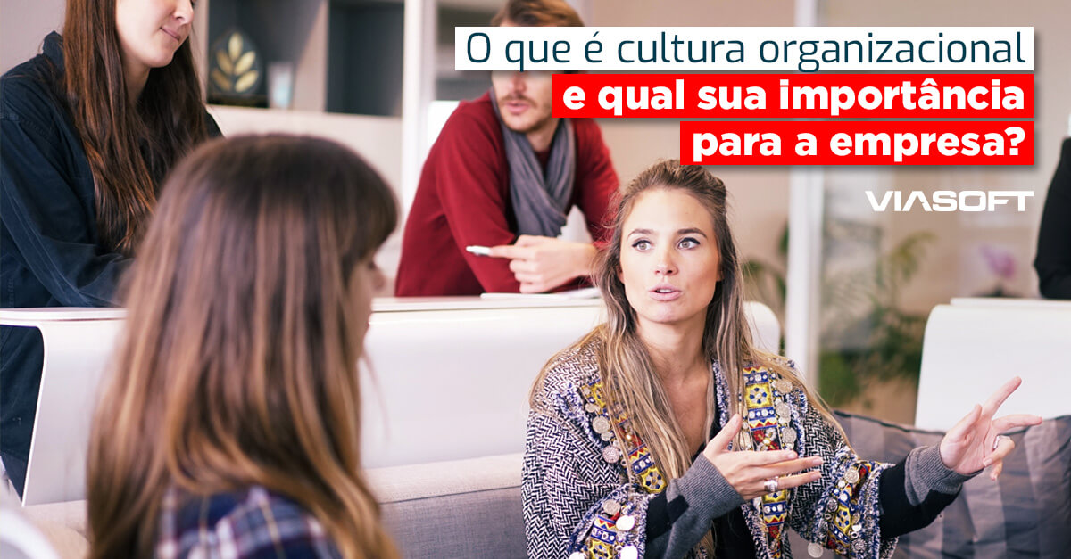 O que é cultura organizacional e qual sua importância para a empresa?
