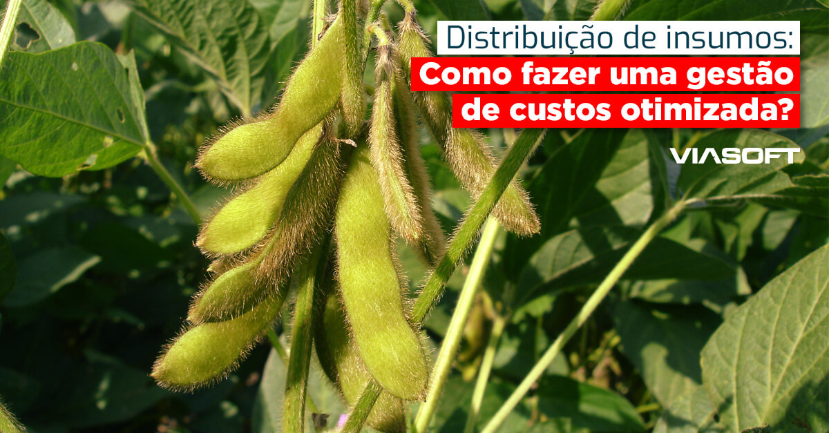 Distribuição de insumos: Como fazer uma gestão de custos otimizada?