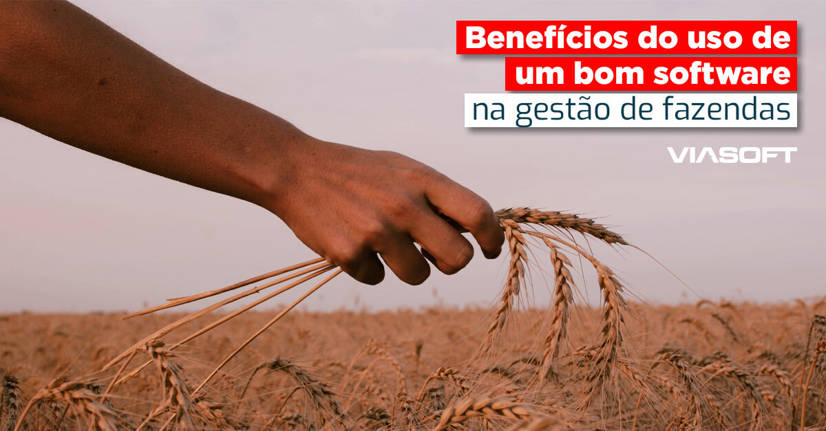 Benefícios do uso de um bom software na gestão de fazendas