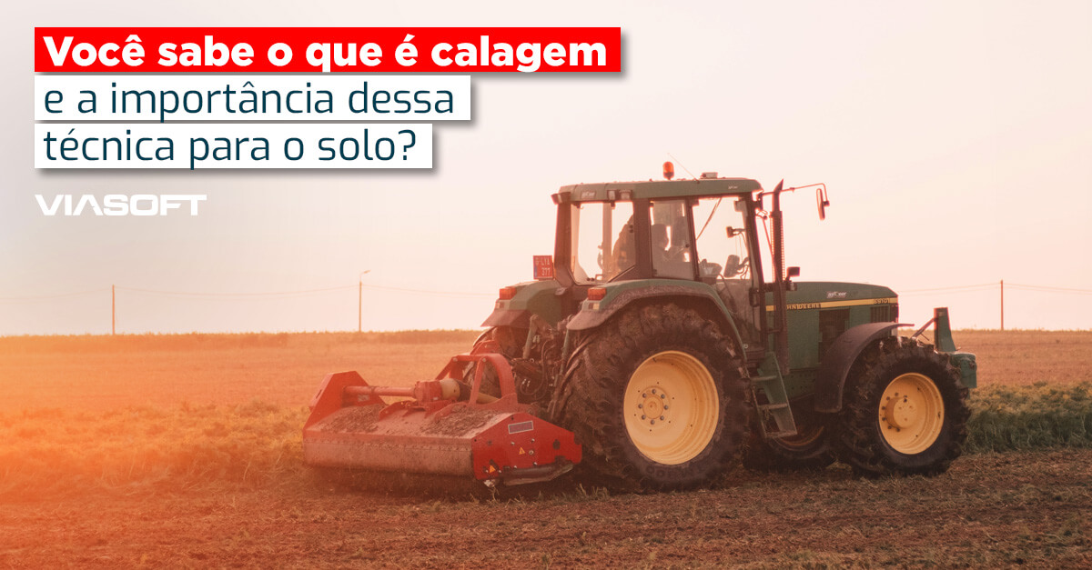 Você sabe o que é calagem e a importância dessa técnica para o solo?