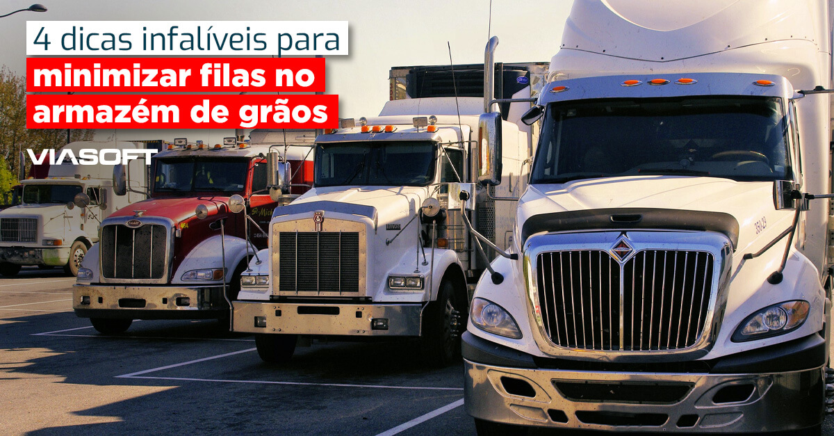 4 dicas infalíveis para minimizar filas no armazém de grãos
