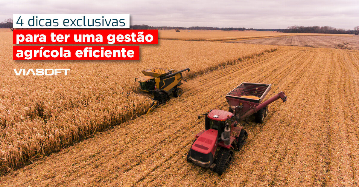 4 dicas exclusivas para ter uma gestão agrícola eficiente