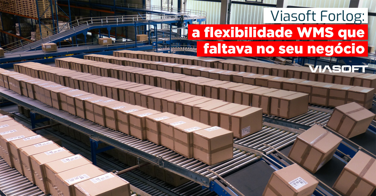 Viasoft Forlog: a flexibilidade WMS que faltava no seu negócio