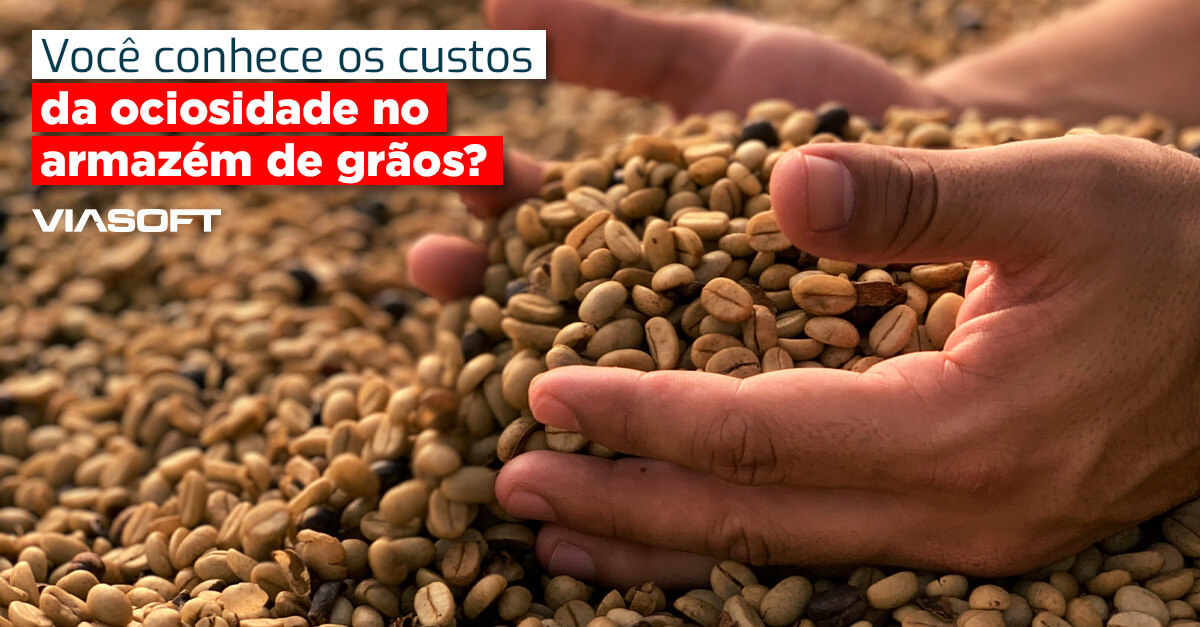 Você conhece os custos da ociosidade no armazém de grãos?