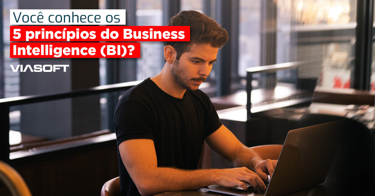 Você conhece os 5 princípios do Business Intelligence (BI)?