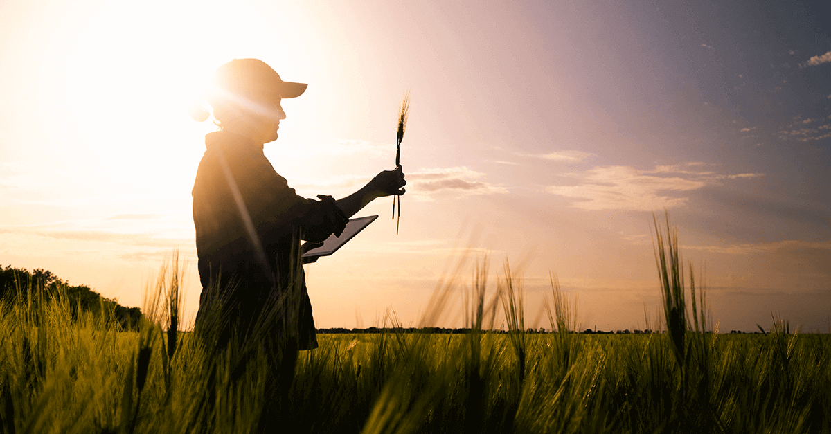Como a era digital mudou a cabeça do agricultor?