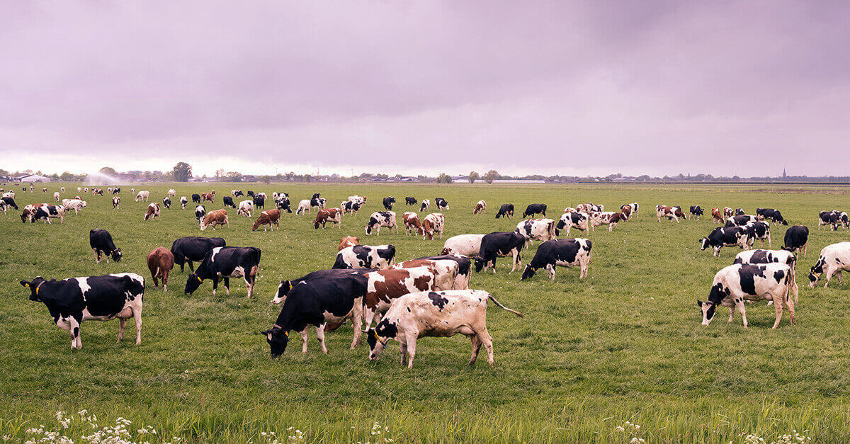 Agricultura de baixo carbono: o que é e quais os impactos para o agro