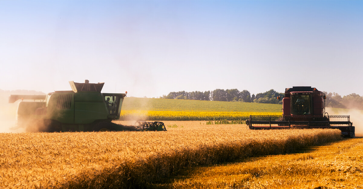 Comercialização agrícola: oportunidade única para o produtor lucrar mais!