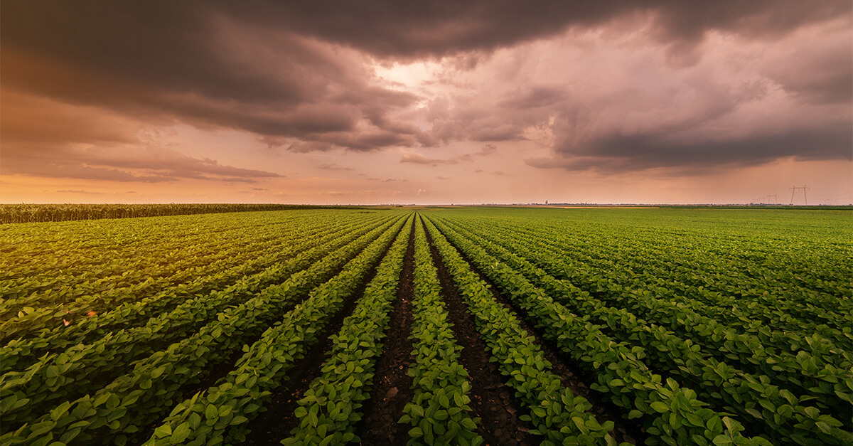 Inovação constante para nossos clientes: InspectoAgri agora é Viasoft!