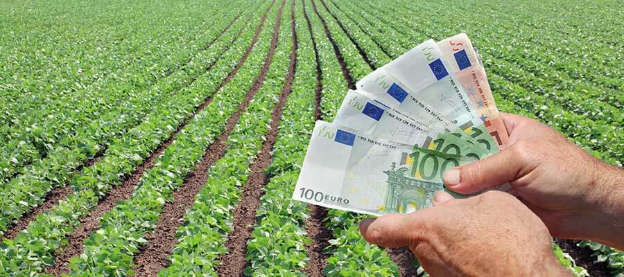 O que está em jogo no mercado de commodities agrícolas no Brasil